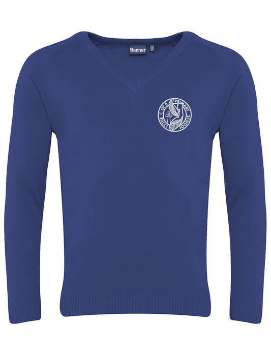 Lythe - Acrylic V Neck Sweater