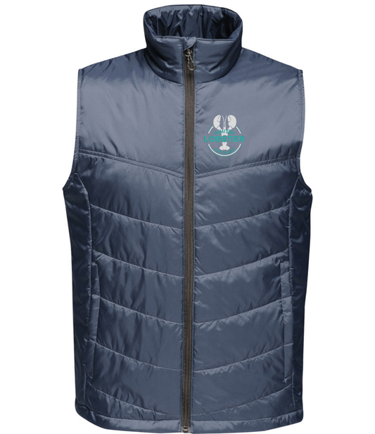WLH Stage II Insulated Bodywarmer — Men's